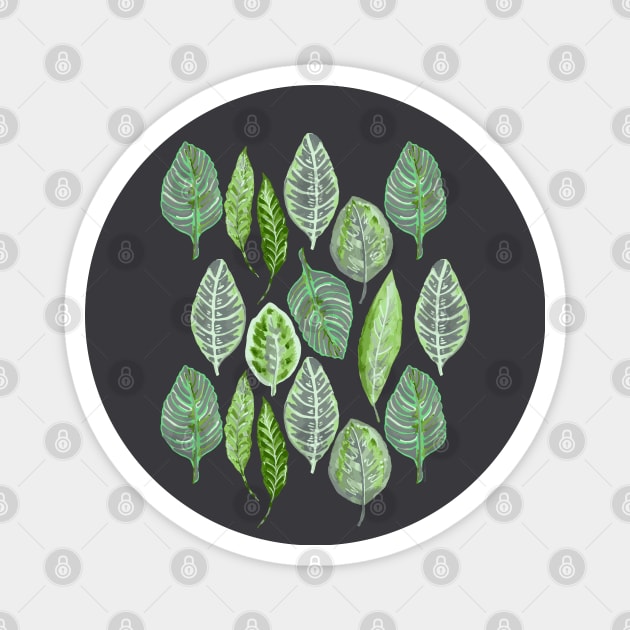 Leafy Leaves Magnet by Limezinnias Design